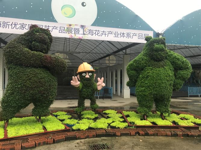 上房园艺 在细节的方寸之间，读懂种植的奥秘