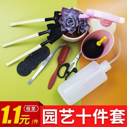 新手园艺指南 多肉种植工具套装三件套使用与选购
