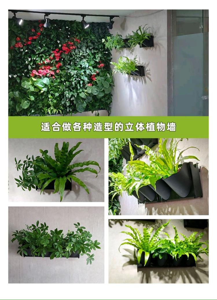 圣恩园艺立体绿化种植盒 植物墙专用厂家直销，开启园艺种植新篇章